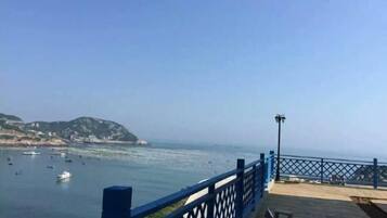 Vista desde la propiedad