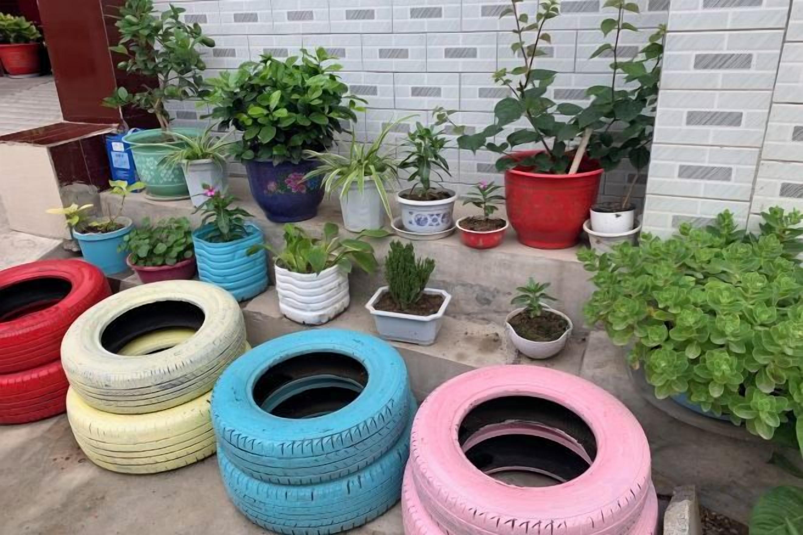 A collection of potted plants and repurposed tires arranged on a concrete surface.