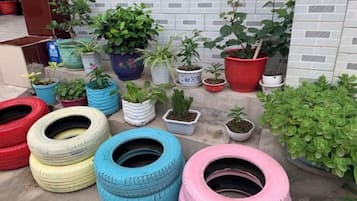 Una colección de plantas en macetas y neumáticos reciclados sobre una superficie de hormigón.