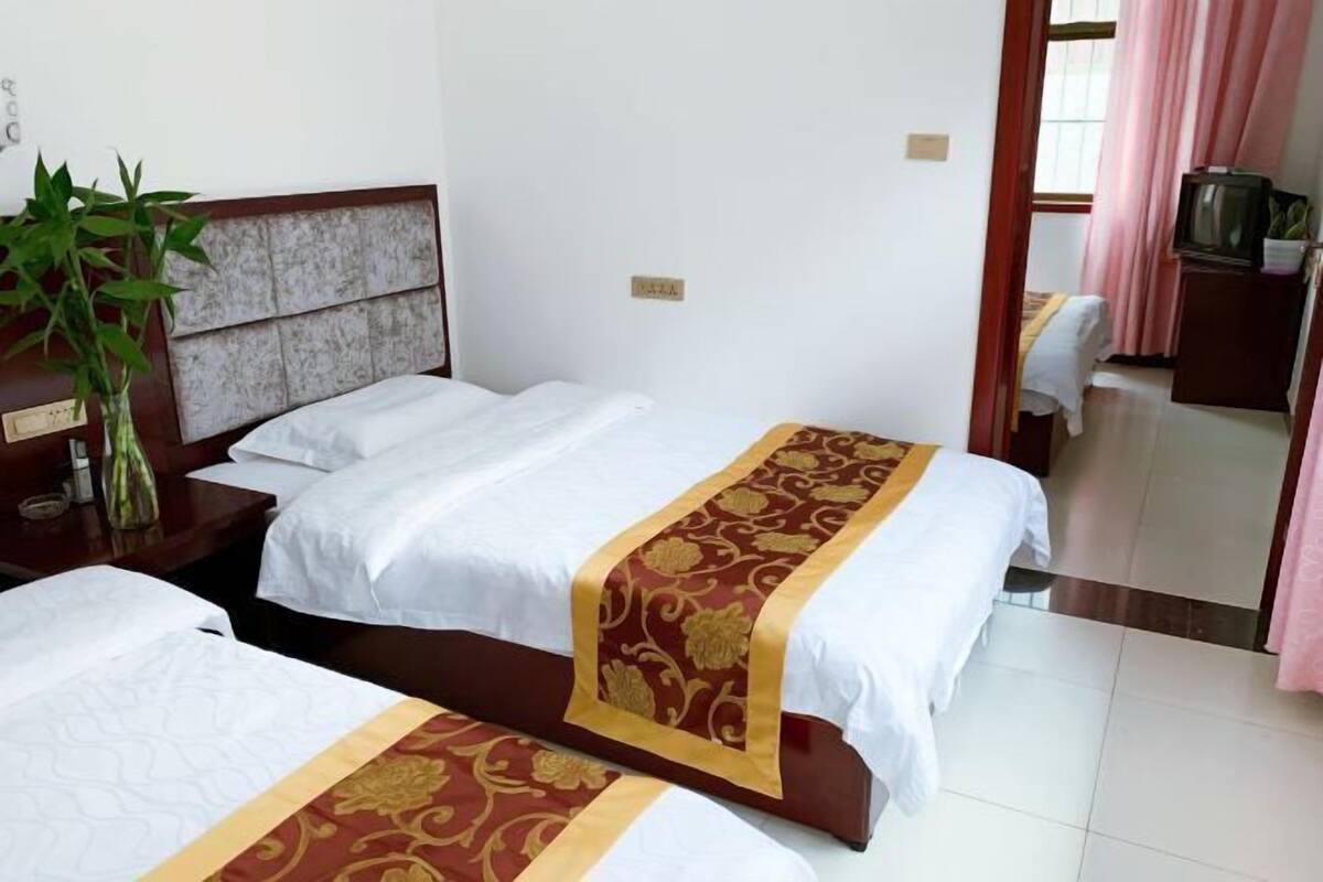 A hotel room with two beds, a television, a plant, and a small table.