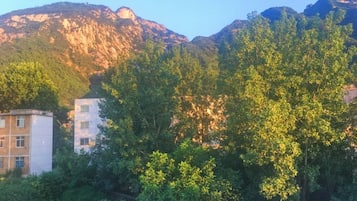 Un edificio rodeado de árboles frondosos y montañas al fondo.