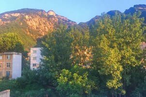 Un edificio rodeado de árboles frondosos y montañas al fondo.