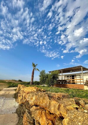 Property grounds - Vacation homes Trinacria (Sicilia)