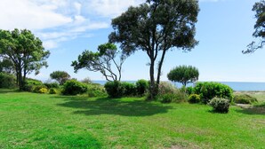 Un champ verdoyant parsemé d’arbres et d’arbustes, un ciel dégagé et une vue lointaine sur la mer.