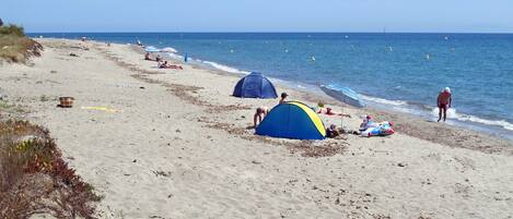 بالقرب من الشاطئ