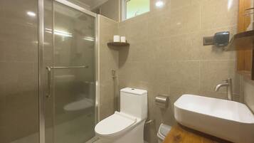 A modern bathroom with a glass shower enclosure, a white toilet, and a wooden vanity with a sink.