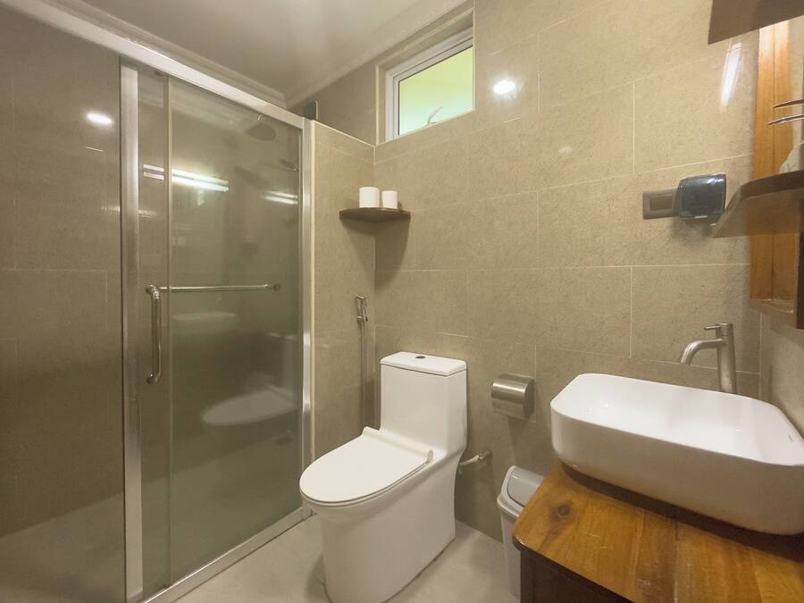 A modern bathroom with a glass shower enclosure, a white toilet, and a wooden vanity with a sink.