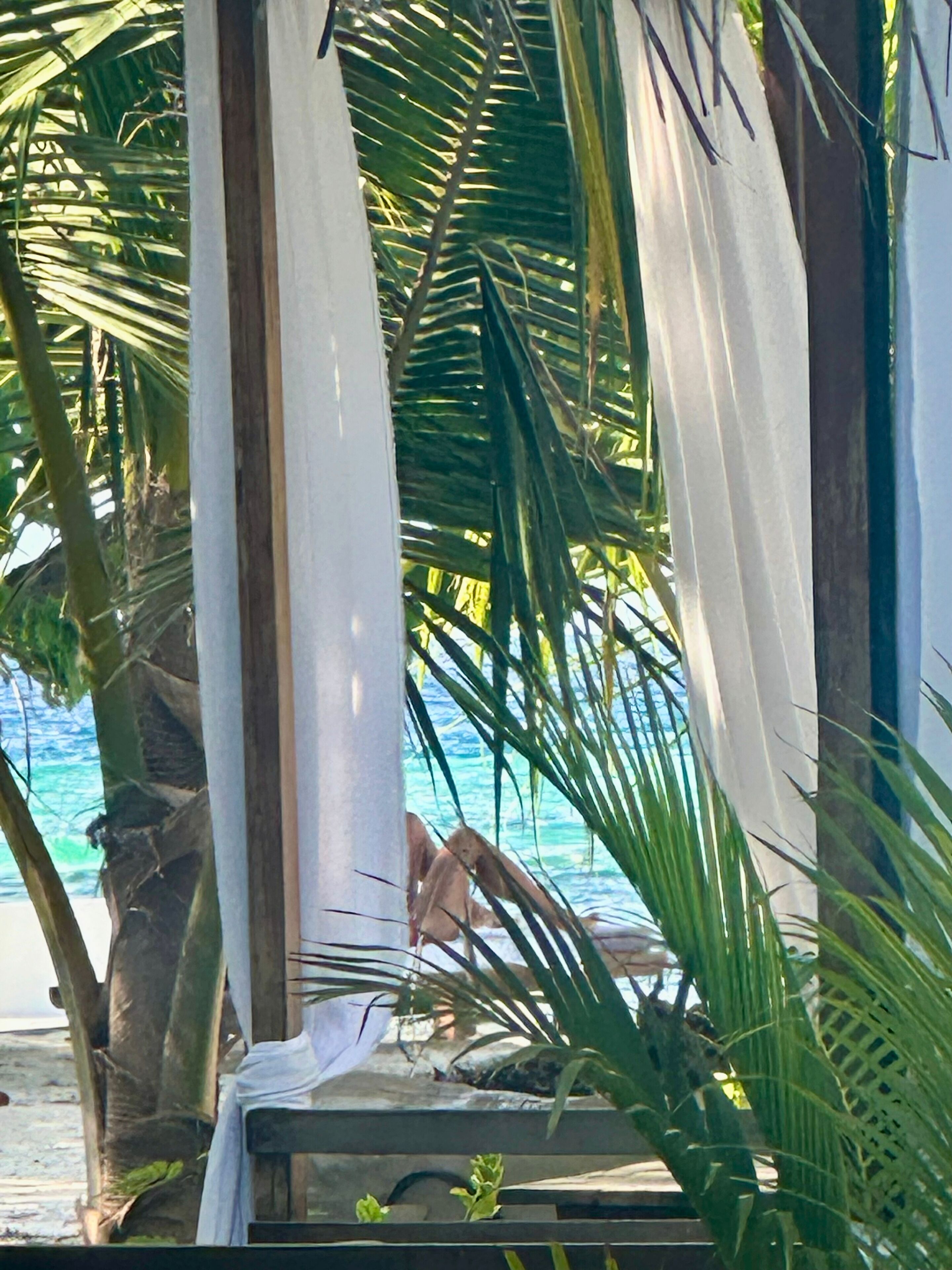 Paisaje de playa con palmeras y una tabla de surf apoyada en una estructura.