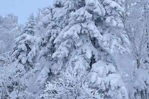 Miscellaneous - Yuanlaikezhan (Wuchang)