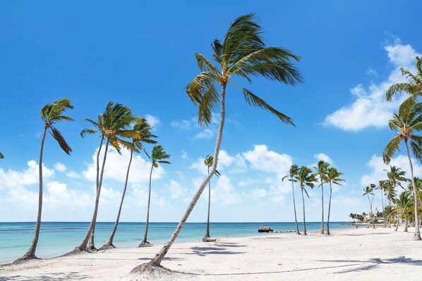 Beach nearby - Vida Bella: Oceanfront estate w/ private beach, full staff, pool, gym & cinema (Punta Cana)