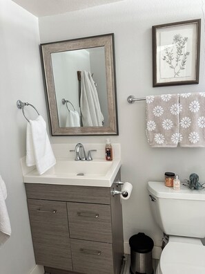 Regadera, secadora de cabello, toallas, jabón 