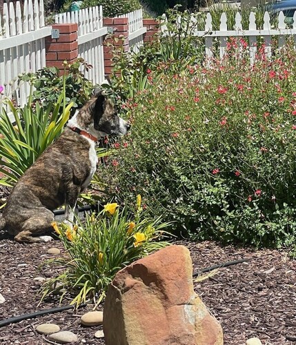 Casa Del Trigo - Paso Robles, Affordable Wine Country Getaway