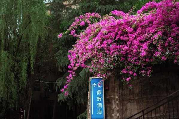 Property grounds - Dinghui Holiday Hotel (Chongqing)