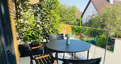 Homely Basel Airport 5