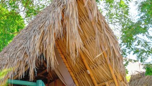 Una cabaña con techo de paja y una escalera que lleva a una puerta de madera, rodeada de exuberante vegetación.