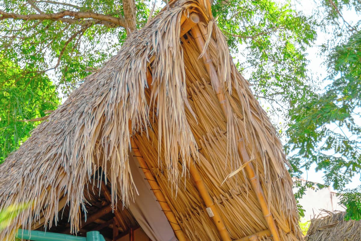 A thatched-roof hut with a staircase leading to a wooden door, surrounded by lush greenery.