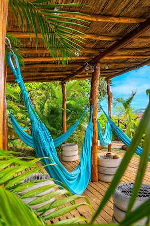 智能电视、Netflix、流媒体服务