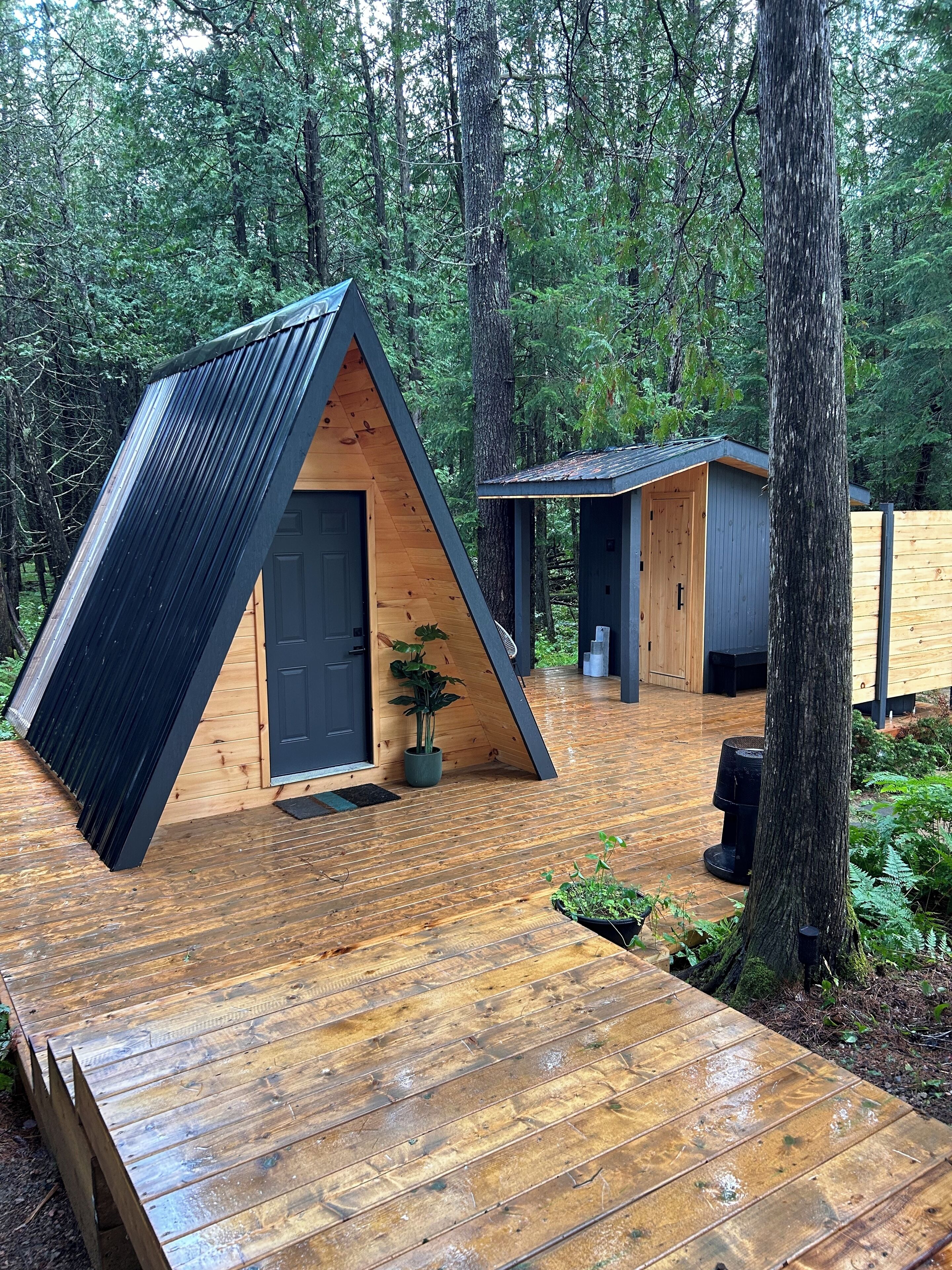 Une terrasse en bois avec une structure architecturale triangulaire, entourée d’une forêt.