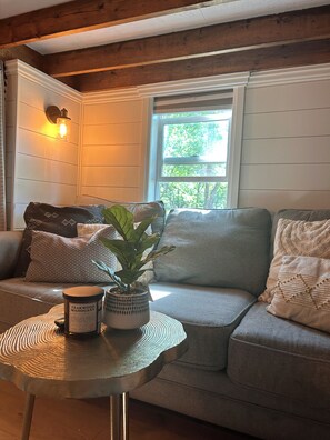 Smart TV, fireplace, books, stereo