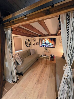 Smart TV, fireplace, books, stereo