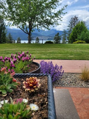 A landscaped garden with various plants and a view of mountains and a lake.