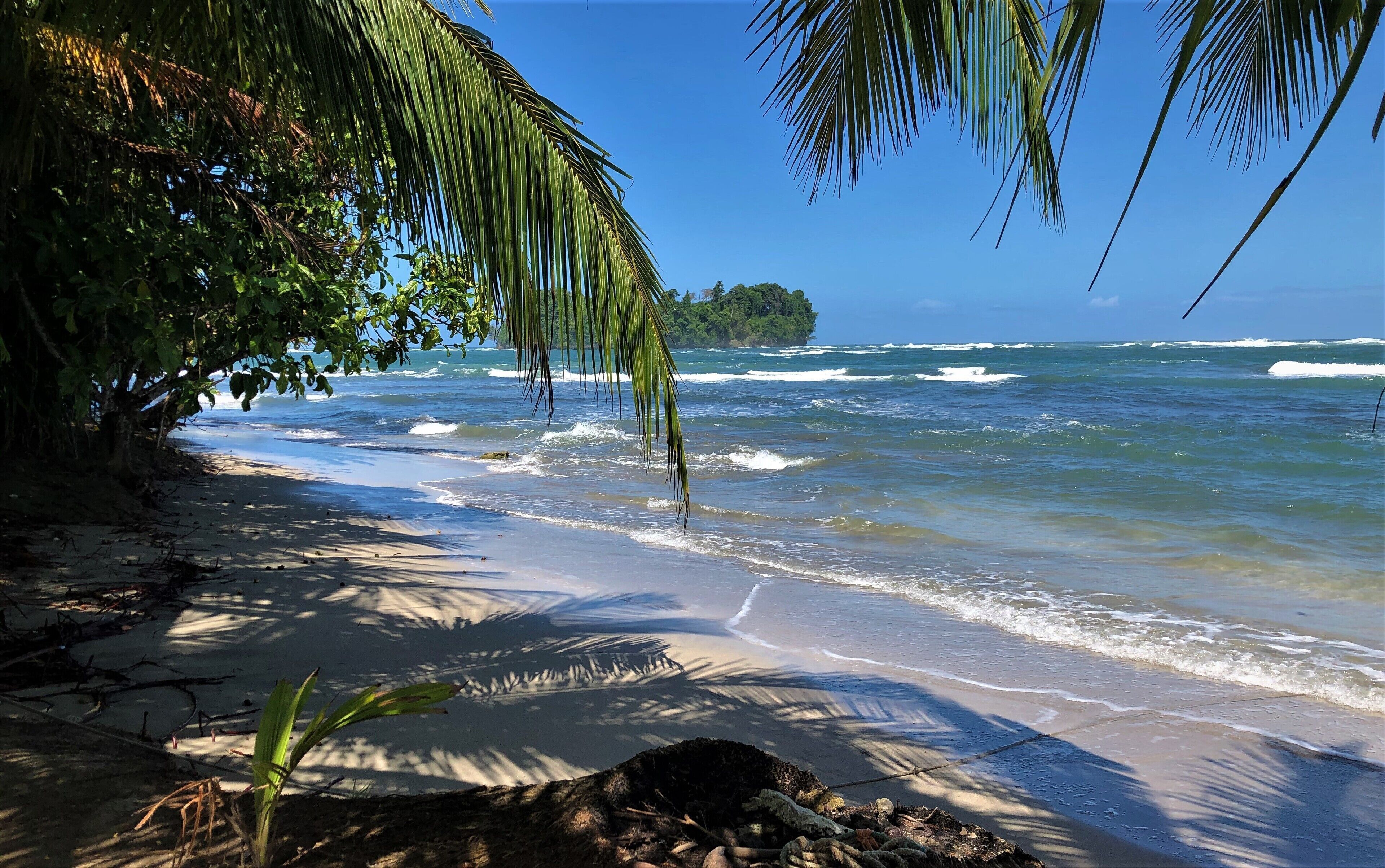 In Strandnähe, Strandtücher