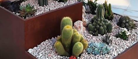 Parco della struttura