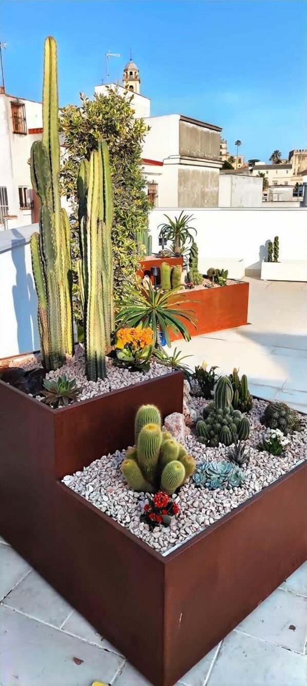 Área da propriedade