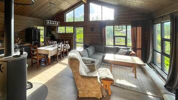 TV, fireplace, DVD player