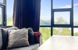 TV, fireplace, DVD player