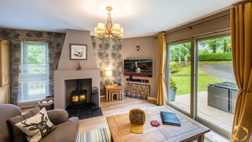 TV connectée, cheminée, jeux vidéo, lecteur de DVD