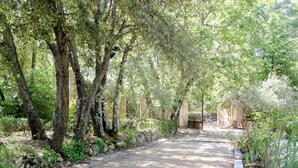 Un sentier pavé dans une zone boisée, bordé de murs en pierre et surmonté d’une porte en métal.
