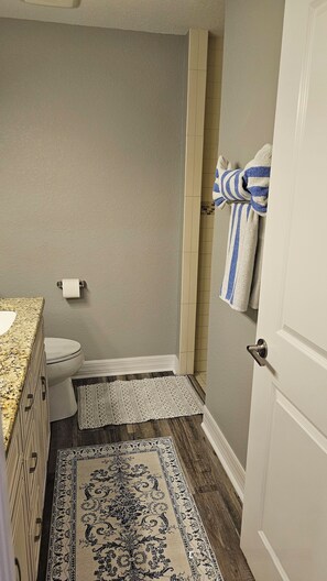 Ducha, secador de pelo, bidé y toallas