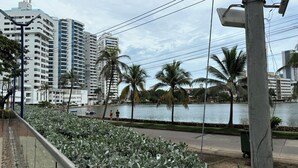A view of a waterfront with palm trees and a body of water. There are buildings in the background and a street with a sidewalk and a railing.