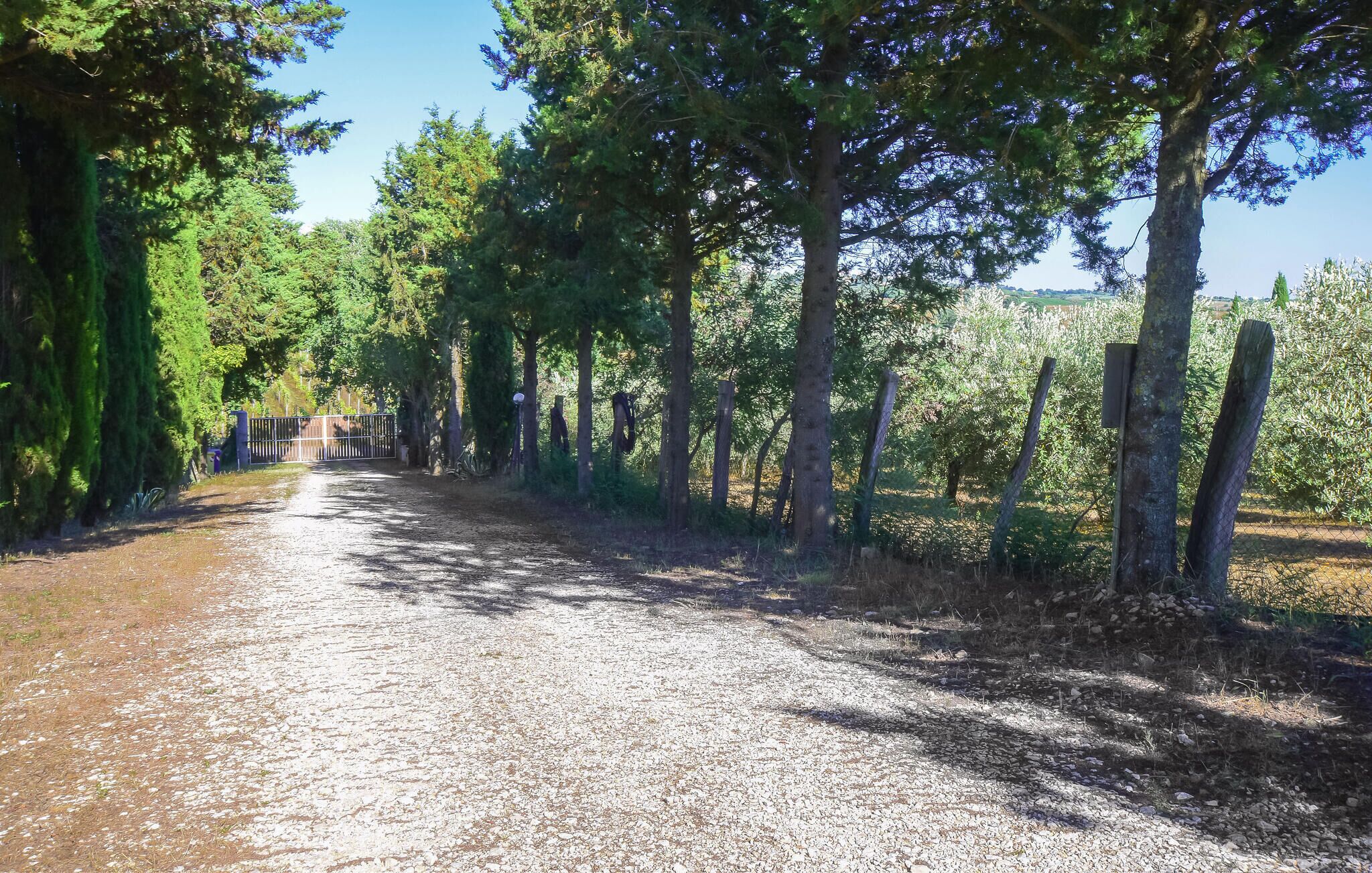 Un camino de grava bordeado por árboles y una valla, que se adentra en una zona boscosa.