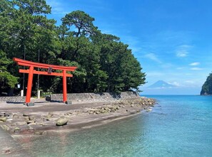 Vista despejada de una playa con un torii rojo, aguas tranquilas y un área boscosa al fondo.