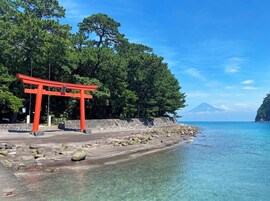 Vistas al campo desde el alojamiento