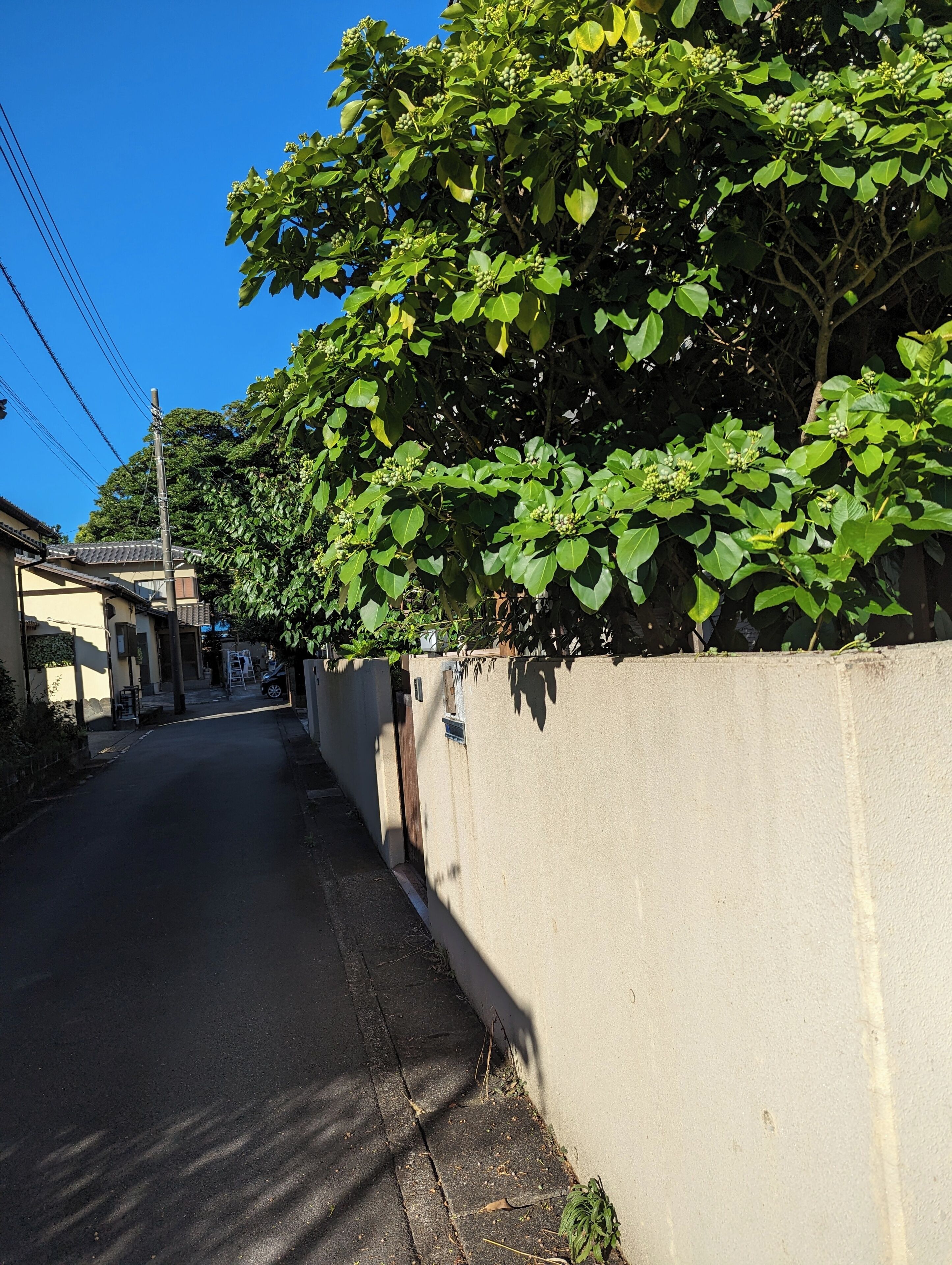 Una calle estrecha con un muro de concreto a un lado y un edificio al otro.