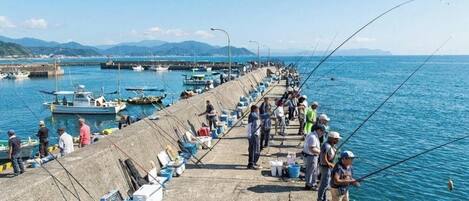 Eine Pier mit Anglern, vertäuten Booten und freiem Blick auf das Wasser.
