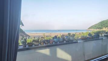 A balcony with potted plants and a view of the beach.