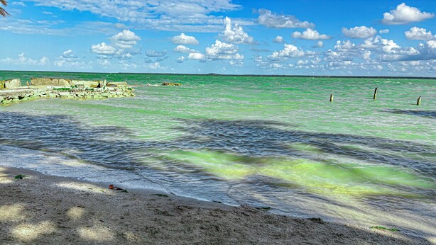 A beach with clear water, a rocky shoreline, and a distant landmass. - 1 Bedroom Canal Cottage, Pool, Fishing, BTB Approved, Quiet, Bikes, Kit, Laundry (Corozal Town)