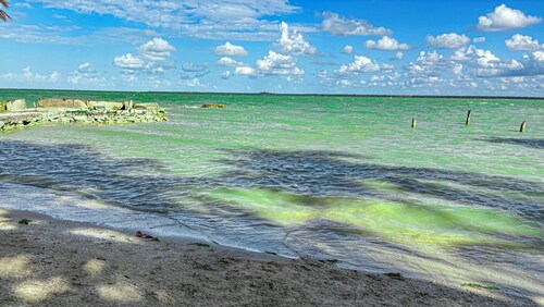 1 Bedroom Canal Cottage, Pool, Fishing, BTB Approved, Quiet, Bikes, Kit, Laundry