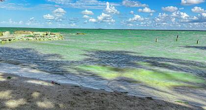 1 Bedroom Canal Cottage, Pool, Fishing, BTB Approved, Quiet, Bikes, Kit, Laundry