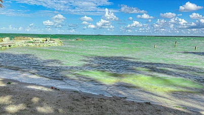 1 Bedroom Canal Cottage, Pool, Fishing, BTB Approved, Quiet, Bikes, Kit, Laundry