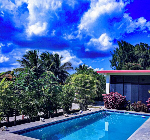 حمّام سباحة خارجي