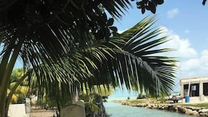 A calm waterway with a stone wall and palm trees on one side. - 1 Bedroom Canal Cottage, Pool, Fishing, BTB Approved, Quiet, Bikes, Kit, Laundry (Corozal Town)