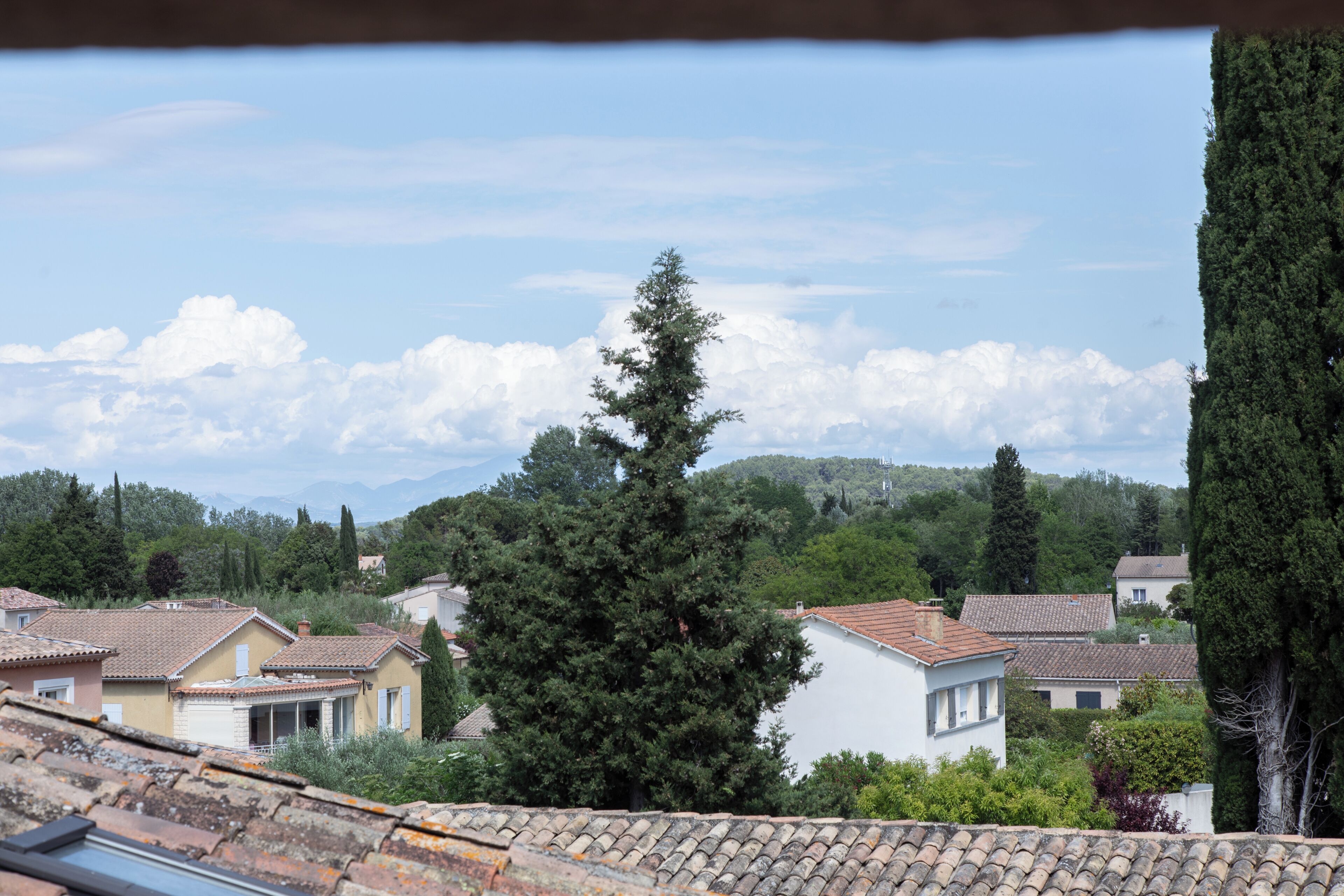 A residential area with houses, a large evergreen tree, and a mountain in the background.