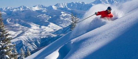 Experience excellent skiing!