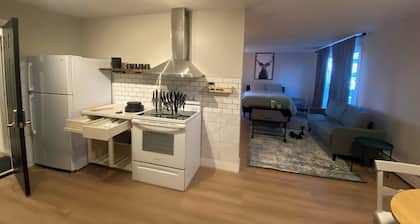 Morden Newly Renovated 1br Flats, Walk T