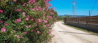 Nice home in Roccastrada